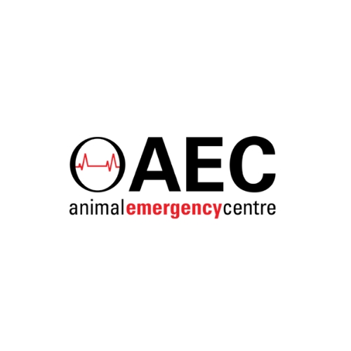 Animal Emergency Centre Gold Coast Critical Pet Treatment